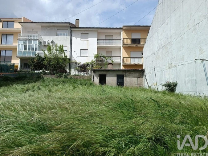 Terreno para Venda em Mogadouro, Valverde, Vale de Porco e Vilar de Rei Foto 8
