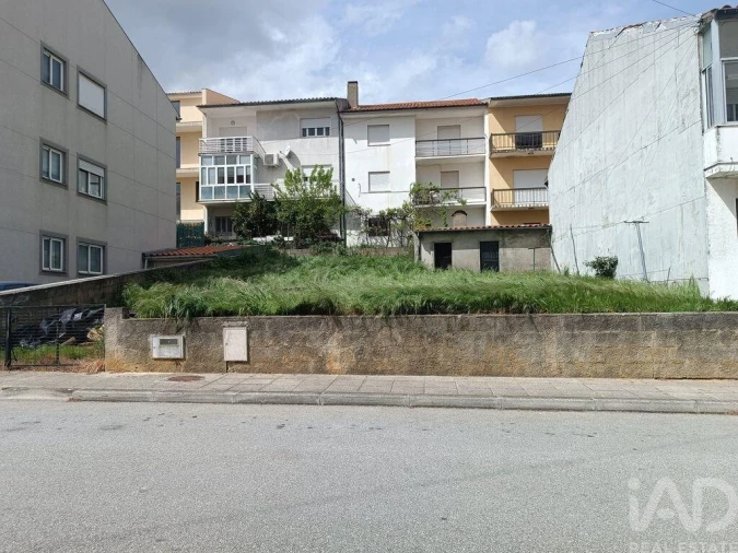Terreno para Venda em Mogadouro, Valverde, Vale de Porco e Vilar de Rei Foto 4