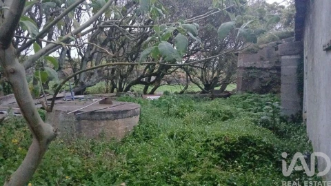 Moradia T4 para Venda em Lajes