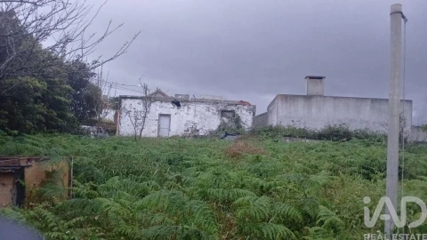 Moradia T4 para Venda em Lajes