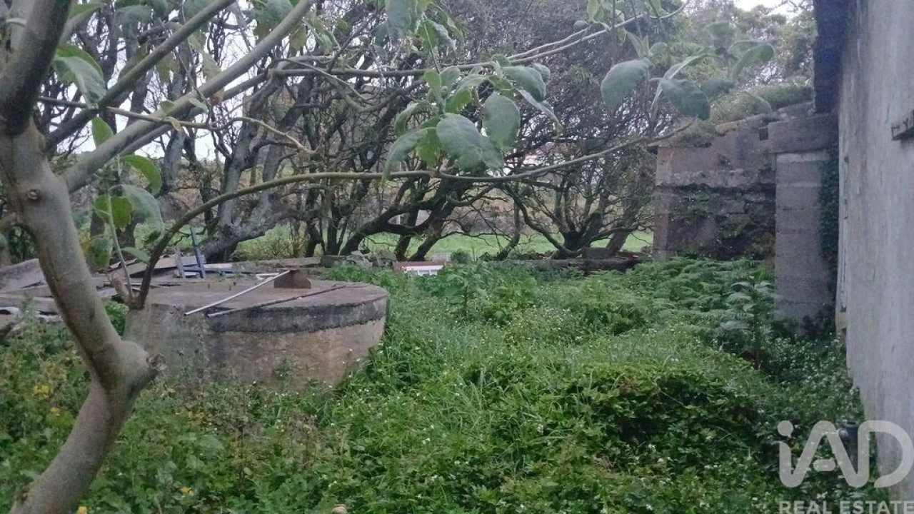 Moradia T4 para Venda em Lajes Foto 3