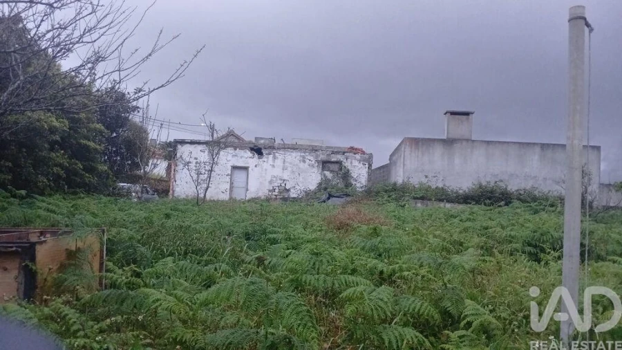 Moradia T4 para Venda em Lajes Foto 2