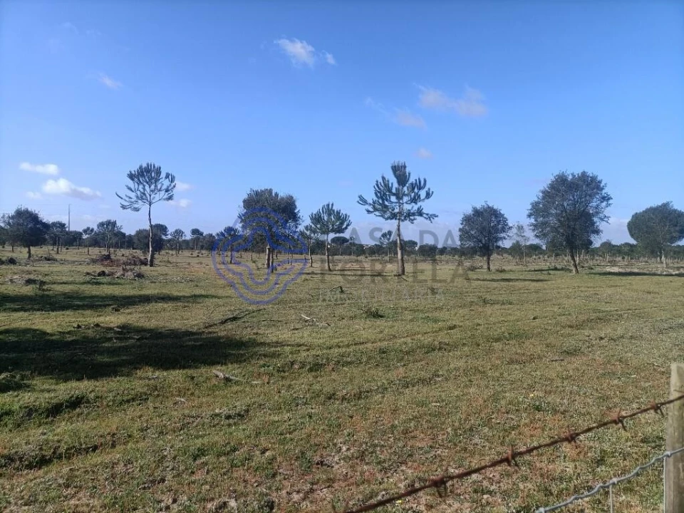 Terreno para Venda em Pegões Foto 4