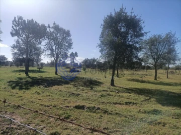 Terreno para Venda em Pegões