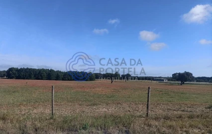 Terreno para Venda em Pegões