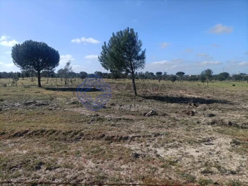 Terreno para Venda em Pegões