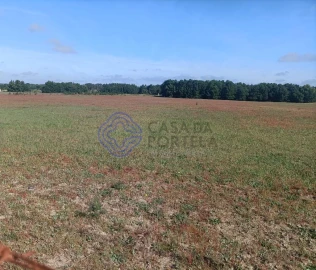 Terreno para Venda em Pegões