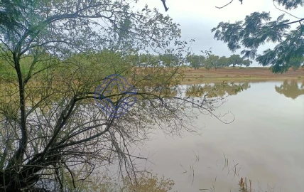 Terreno para Venda em Pegões