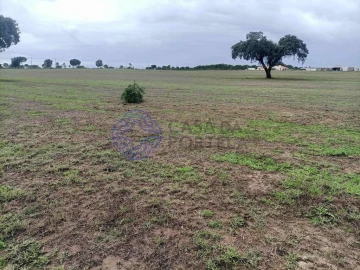 Terreno para Venda em Pegões