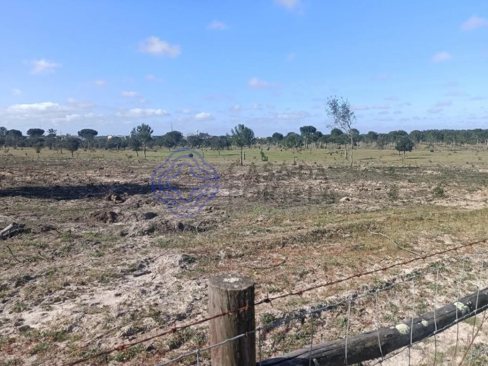 Terreno para Venda em Pegões Foto 17