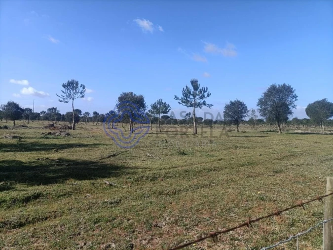 Terreno para Venda em Pegões Foto 4