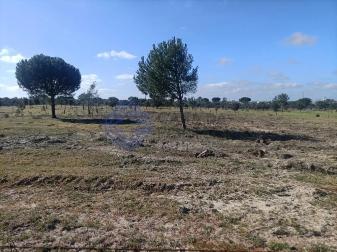 Terreno para Venda em Pegões Foto 16
