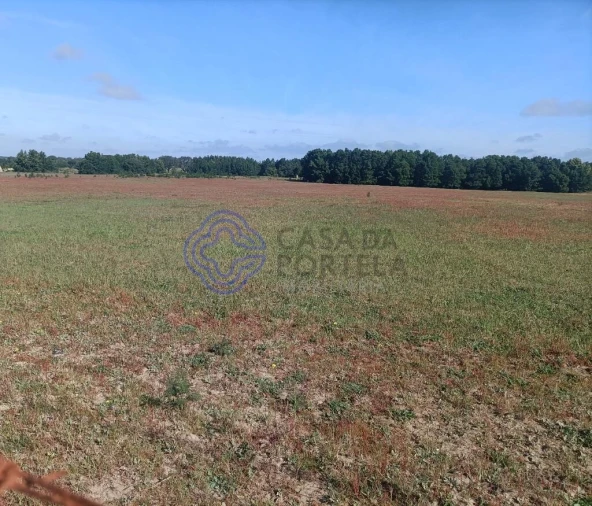 Terreno para Venda em Pegões Foto 8