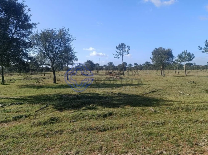 Terreno para Venda em Pegões Foto 7