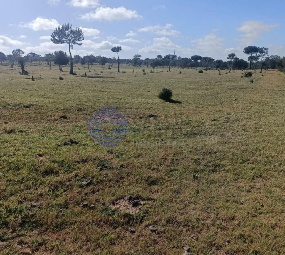 Terreno para Venda em Pegões Foto 12