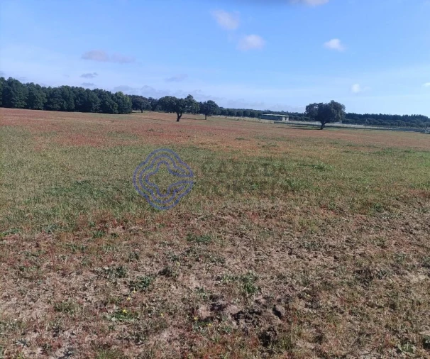 Terreno para Venda em Pegões Foto 11