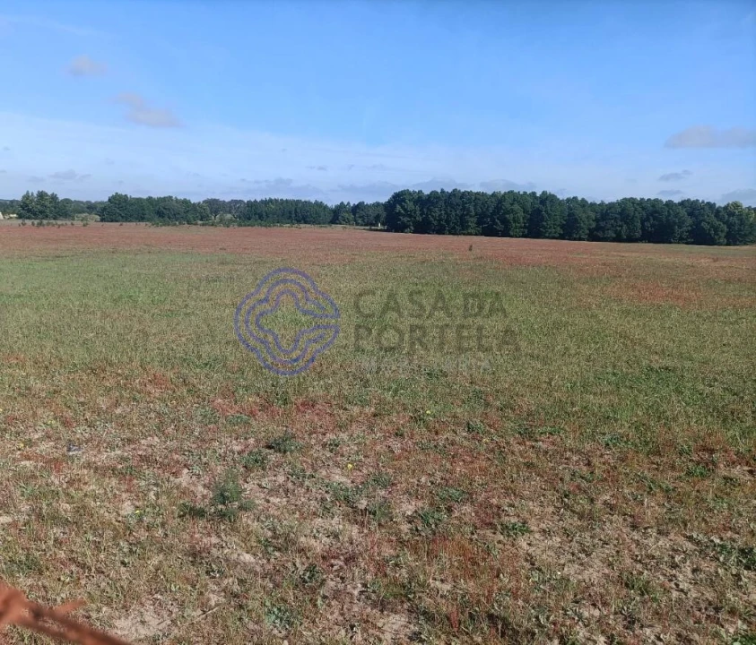 Terreno para Venda em Pegões Foto 8