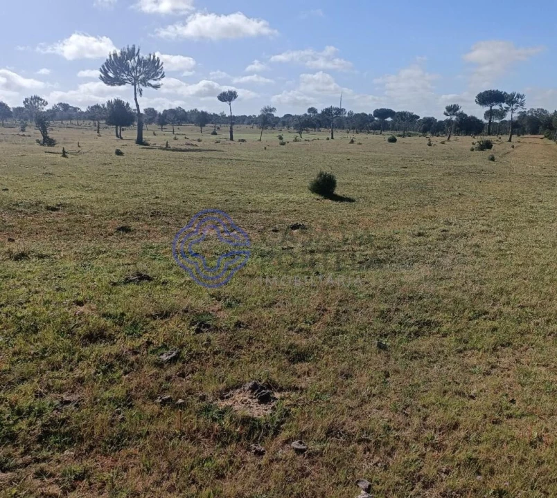 Terreno para Venda em Pegões Foto 12