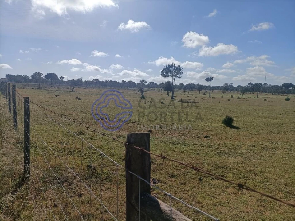 Terreno para Venda em Pegões Foto 10
