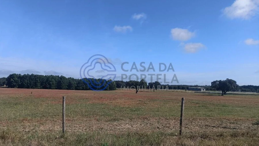 Terreno para Venda em Pegões