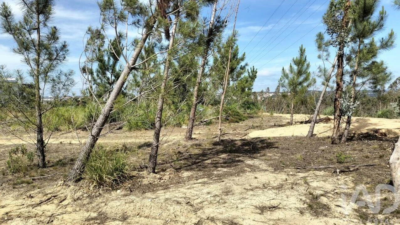 Terreno para Venda em Leiria, Pousos, Barreira e Cortes Foto 39