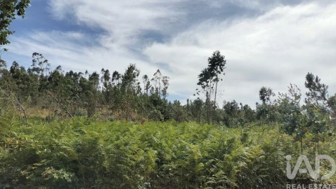 Terreno para Venda em Leiria, Pousos, Barreira e Cortes