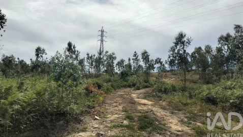Terreno para Venda em Leiria, Pousos, Barreira e Cortes