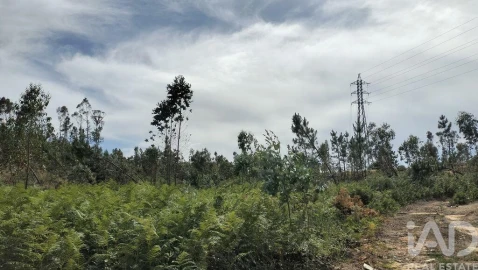 Terreno para Venda em Leiria, Pousos, Barreira e Cortes