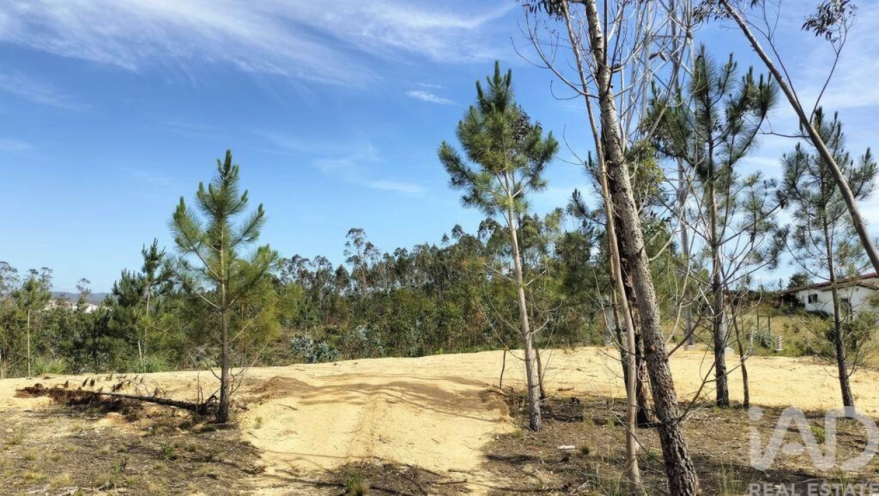 Terreno para Venda em Leiria, Pousos, Barreira e Cortes Foto 33