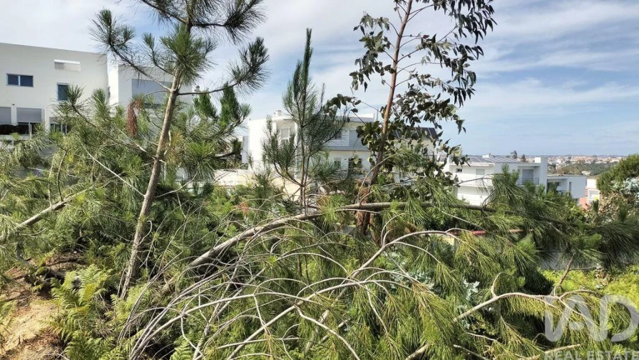Terreno para Venda em Leiria, Pousos, Barreira e Cortes Foto 26