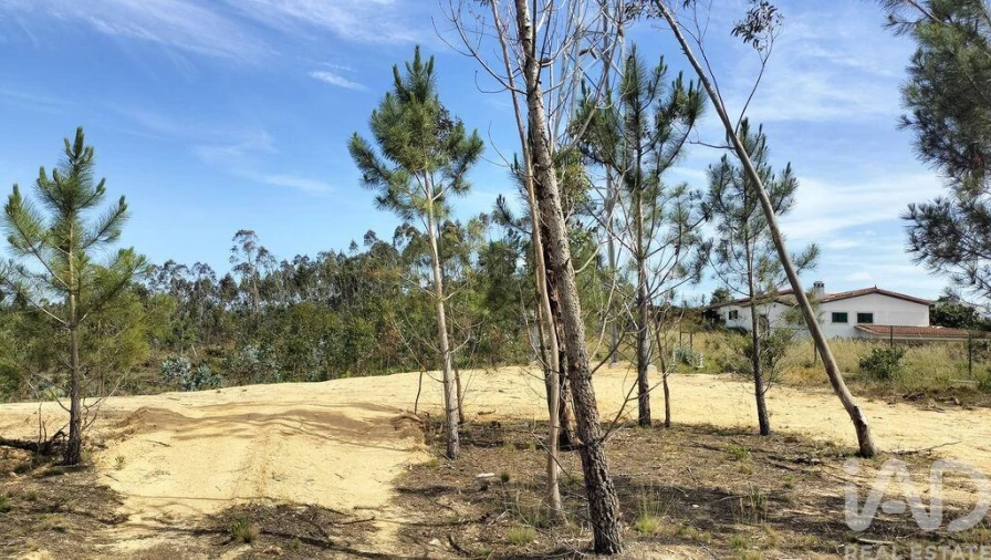 Terreno para Venda em Leiria, Pousos, Barreira e Cortes Foto 24