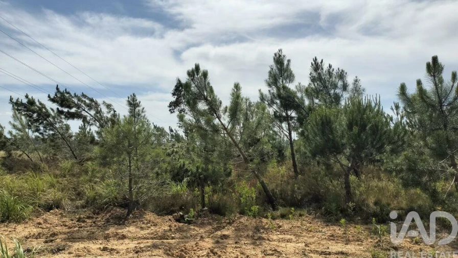 Terreno para Venda em Leiria, Pousos, Barreira e Cortes Foto 18
