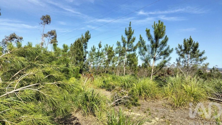 Terreno para Venda em Leiria, Pousos, Barreira e Cortes Foto 20