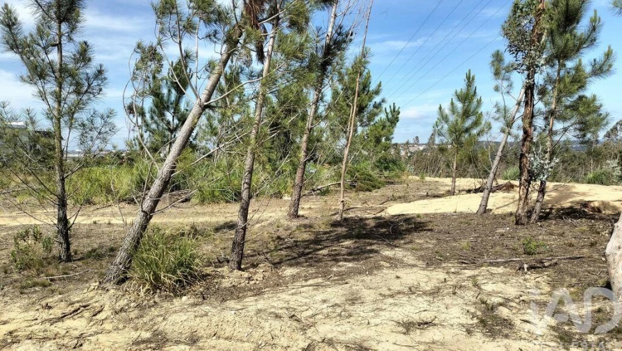 Terreno para Venda em Leiria, Pousos, Barreira e Cortes Foto 35