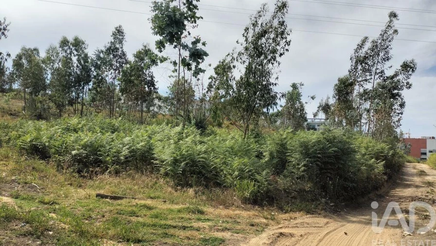 Terreno para Venda em Leiria, Pousos, Barreira e Cortes Foto 31