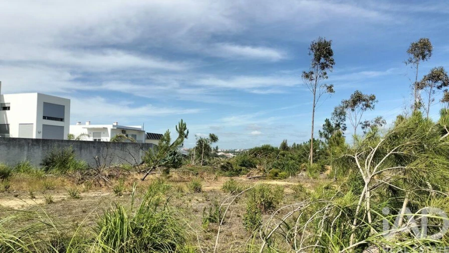 Terreno para Venda em Leiria, Pousos, Barreira e Cortes Foto 21