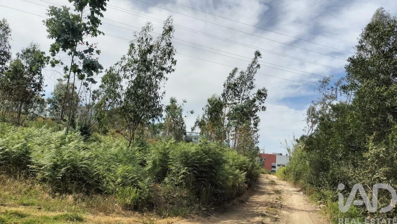 Terreno para Venda em Leiria, Pousos, Barreira e Cortes Foto 32