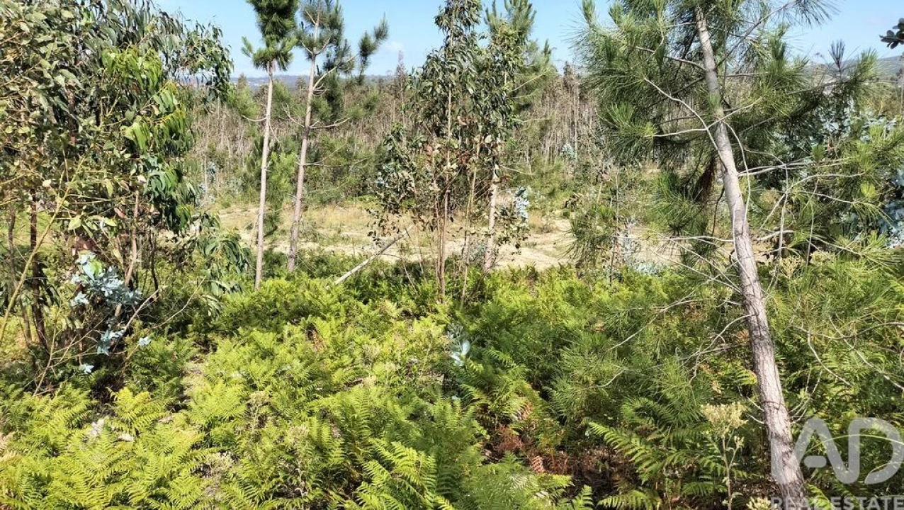 Terreno para Venda em Leiria, Pousos, Barreira e Cortes Foto 29