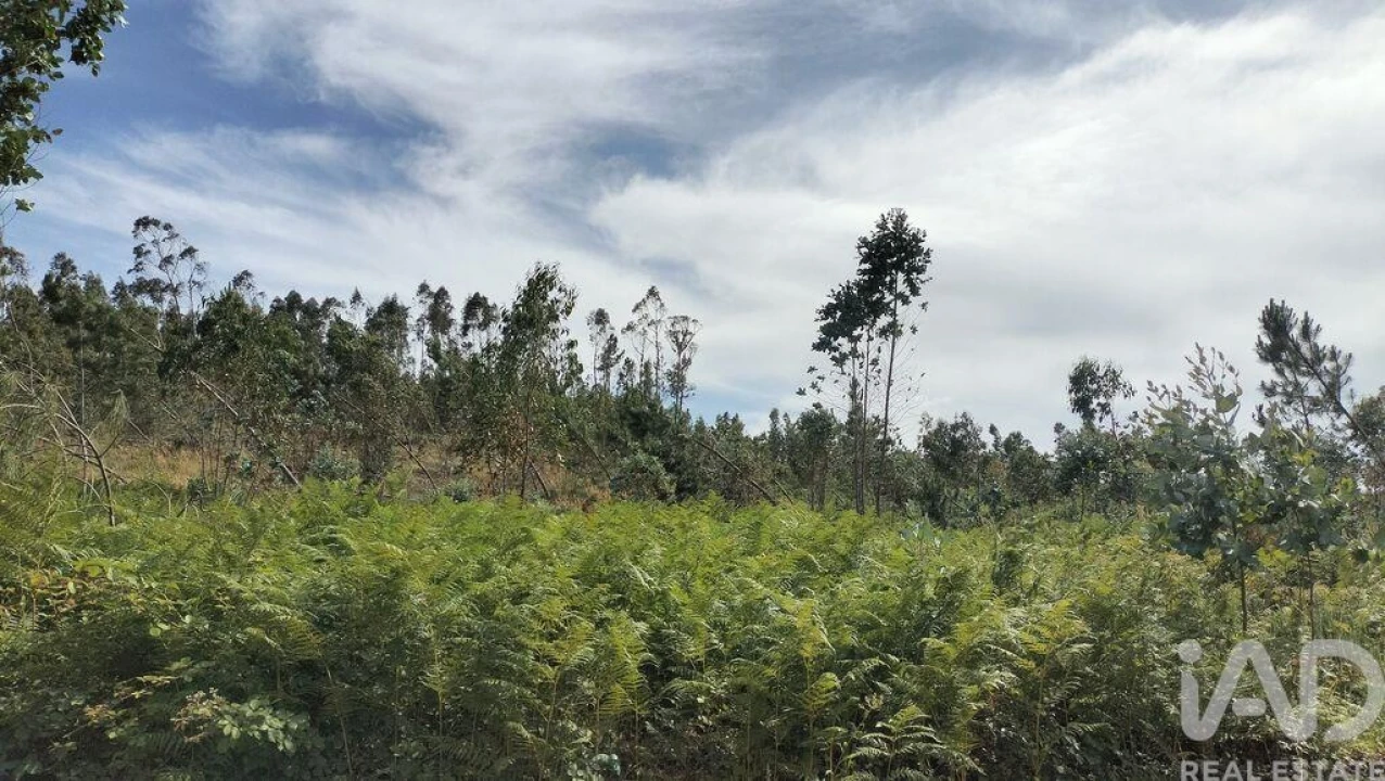Terreno para Venda em Leiria, Pousos, Barreira e Cortes Foto 28