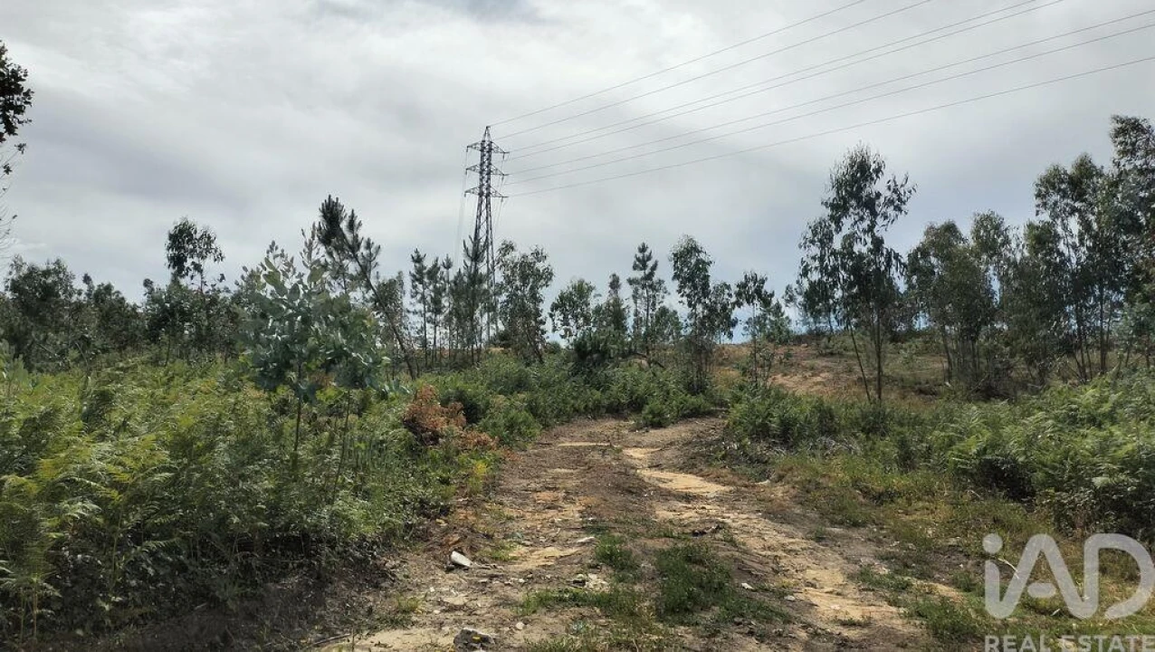 Terreno para Venda em Leiria, Pousos, Barreira e Cortes Foto 30