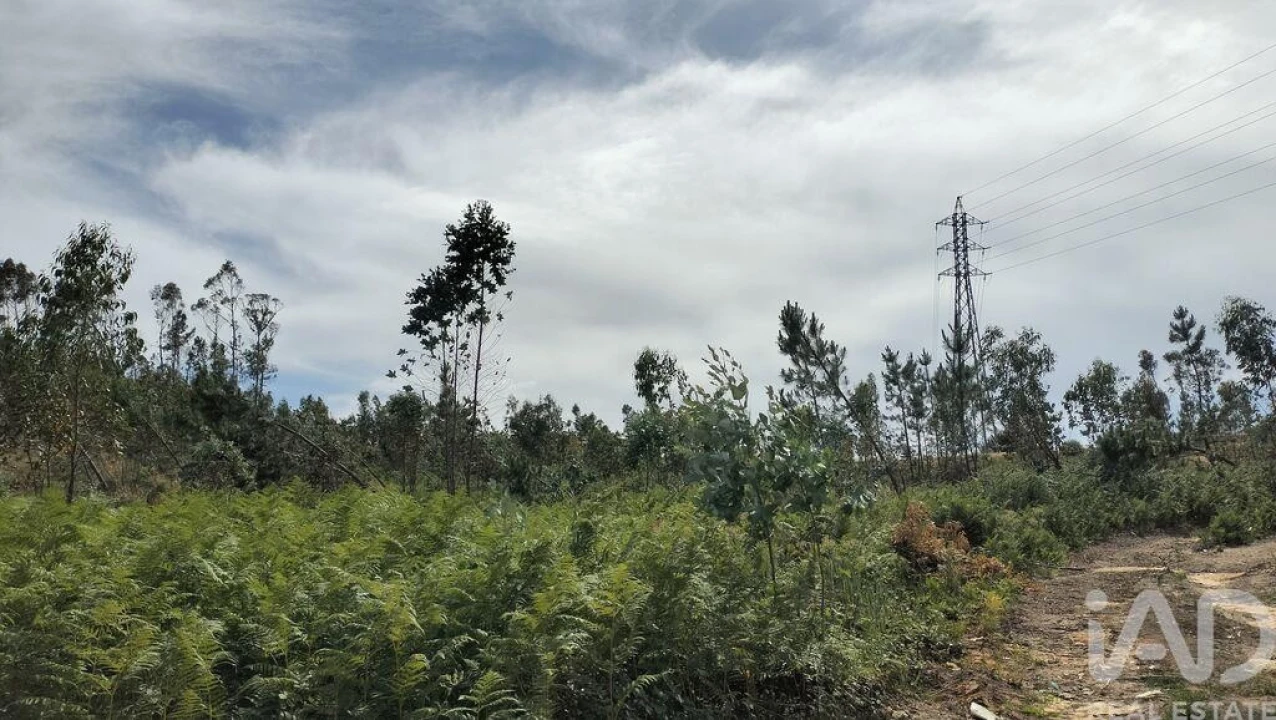 Terreno para Venda em Leiria, Pousos, Barreira e Cortes Foto 37