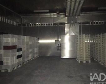 Loja para Venda em Idanha-A-Nova e Alcafozes