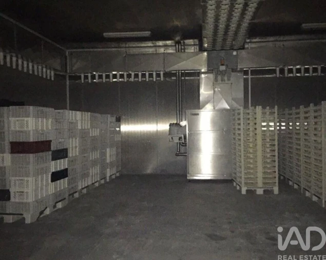 Loja para Venda em Idanha-A-Nova e Alcafozes Foto 7