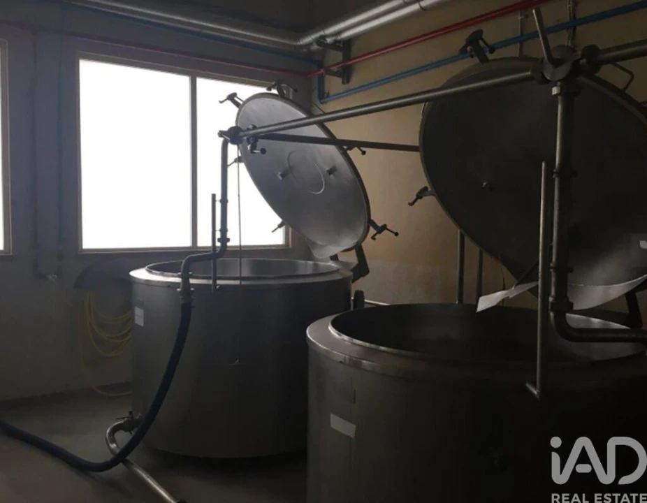 Loja para Venda em Idanha-A-Nova e Alcafozes Foto 10