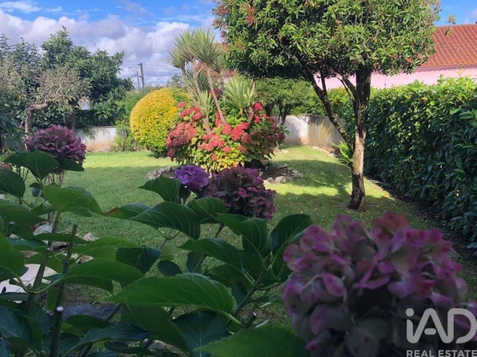 Moradia T4 para Venda em Pelariga Foto 5