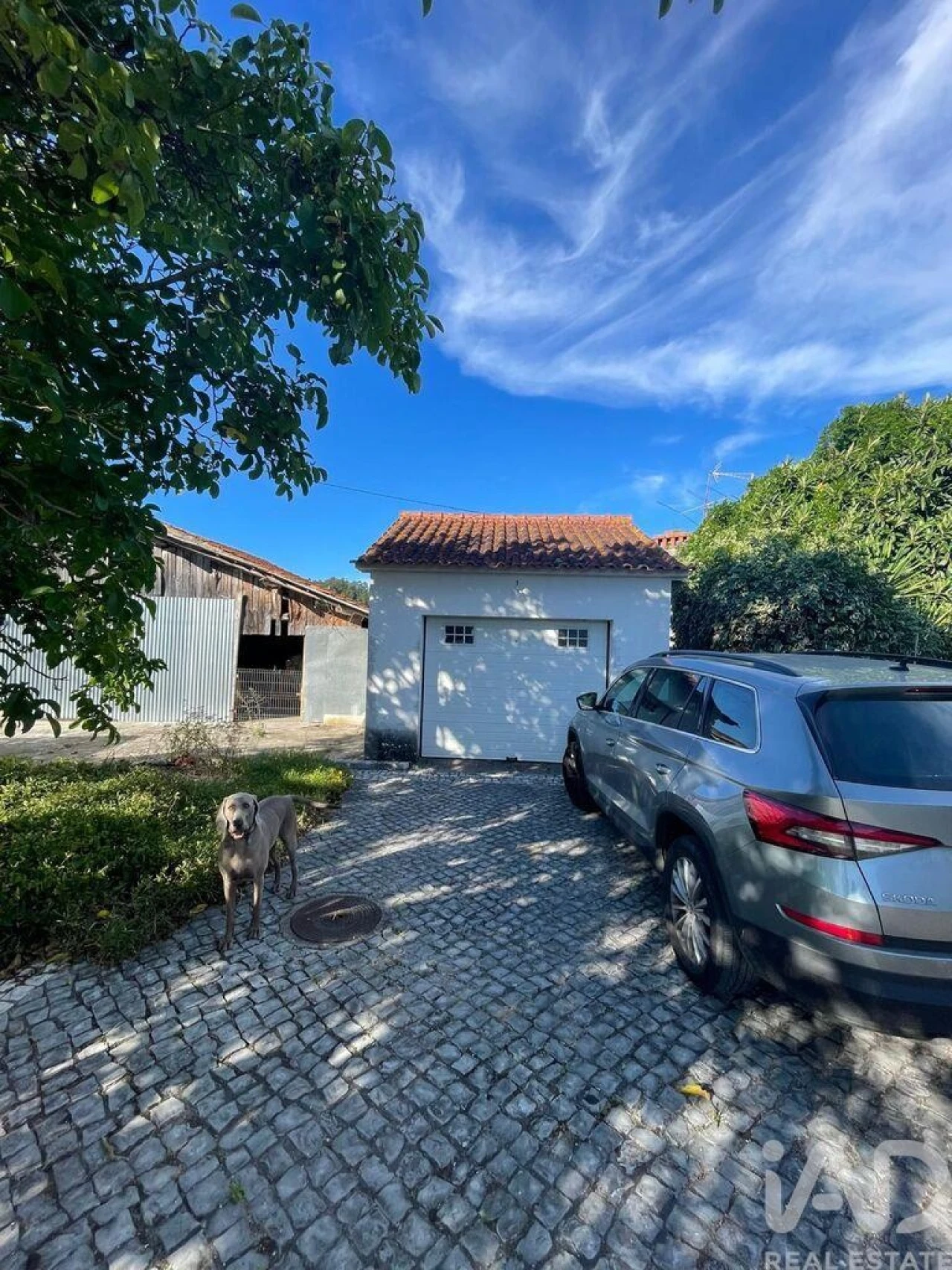 Moradia T4 para Venda em Pelariga Foto 6