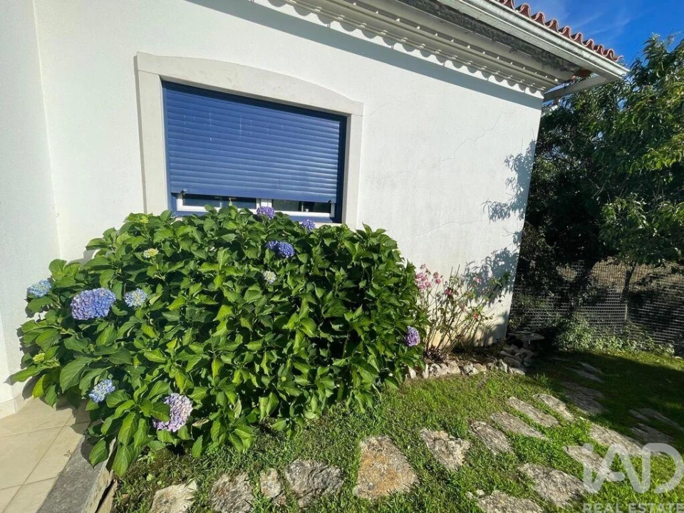 Moradia T4 para Venda em Pelariga Foto 28