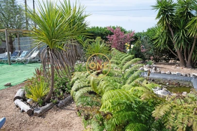 Quinta T3 para Venda em Benavente