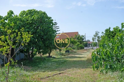 Quinta T3 para Venda em Benavente