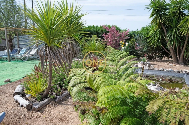 Quinta T3 para Venda em Benavente Foto 14